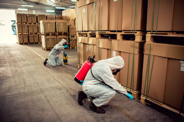 Best Wasp Removal Services  in Cecilia, LA