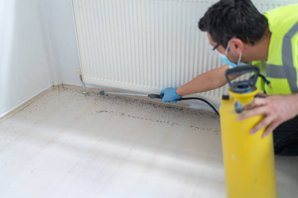 Best Cockroach Control Services  in Cecilia, LA