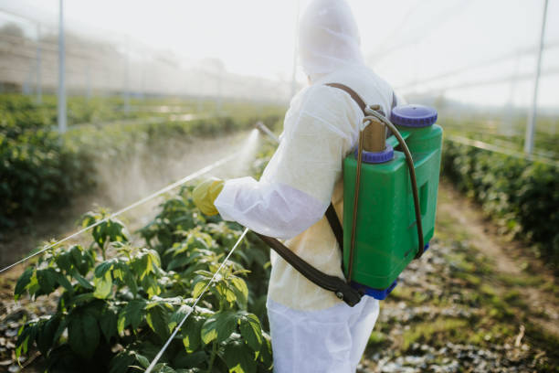 Best Affordable Pest Control Services  in Cecilia, LA